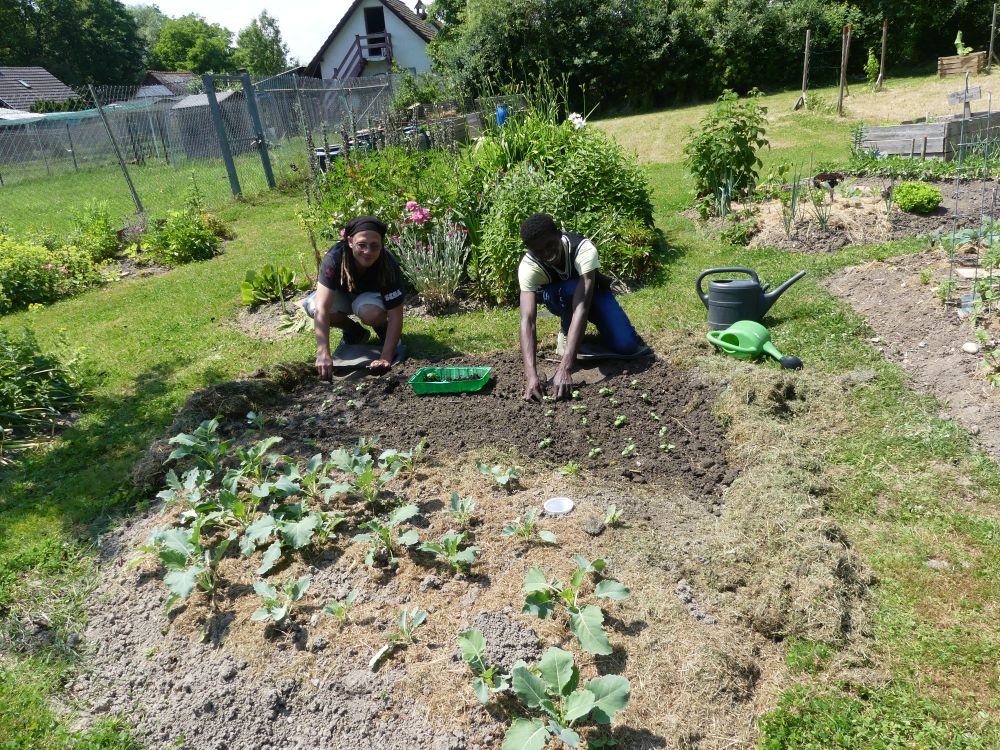 Gemeinschaftsgarten 2023